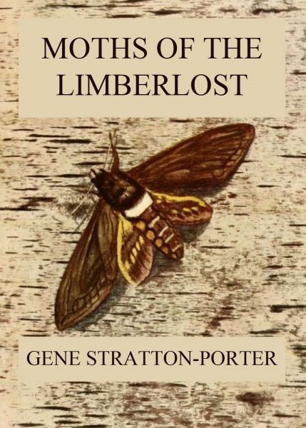 Moths of the Limberlost