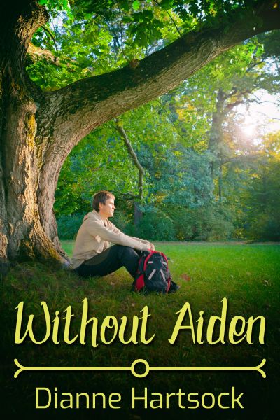 Without Aiden