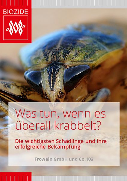 Was tun, wenn es überall krabbelt