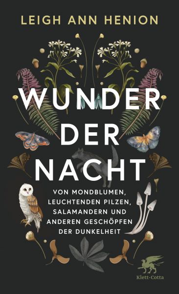 Wunder der Nacht