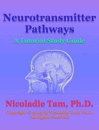 Neurotransmitter Pathways: A Tutorial Study Guide