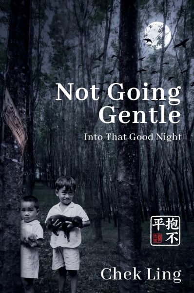 Not Going Gentle