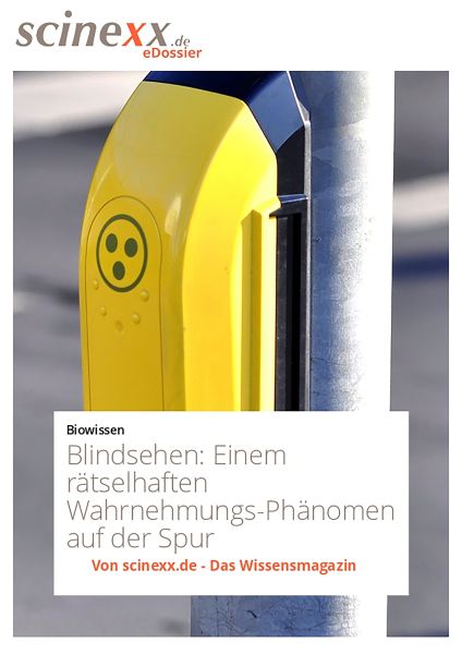 Blindsehen