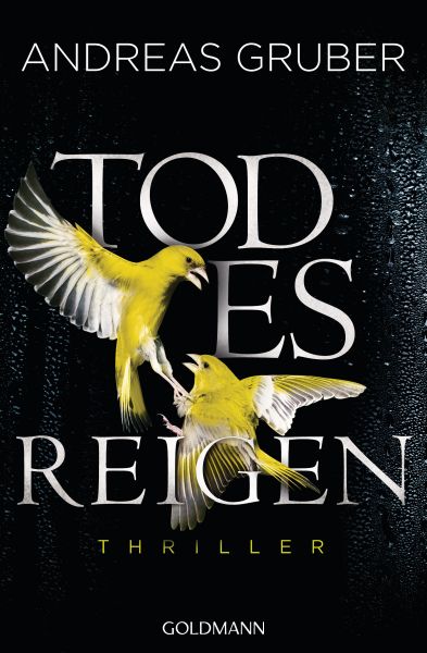 Gruber A.,Todesreigen (Sneijder 4)