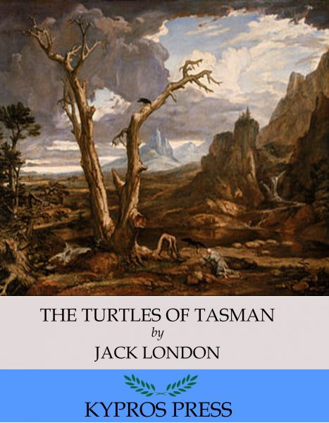 The Turtles of Tasman