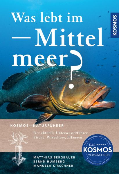 Was lebt im Mittelmeer?