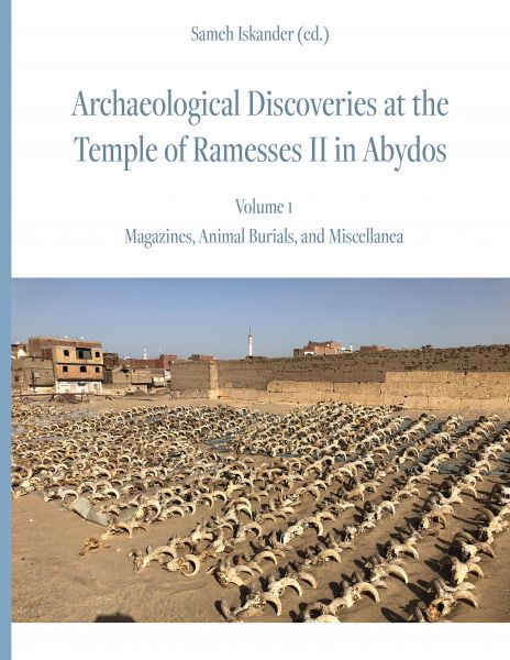 Archaeological Discoveries at the Temple of Ramesses II in Abydos