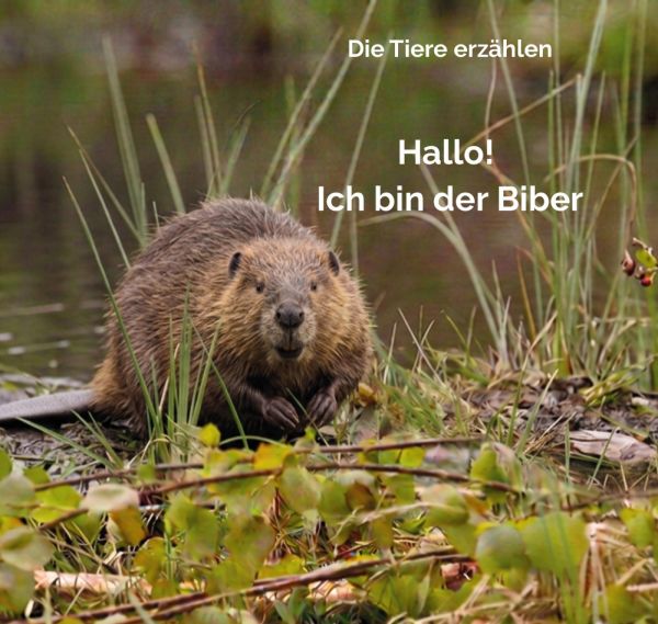 Hallo! Ich bin der Biber
